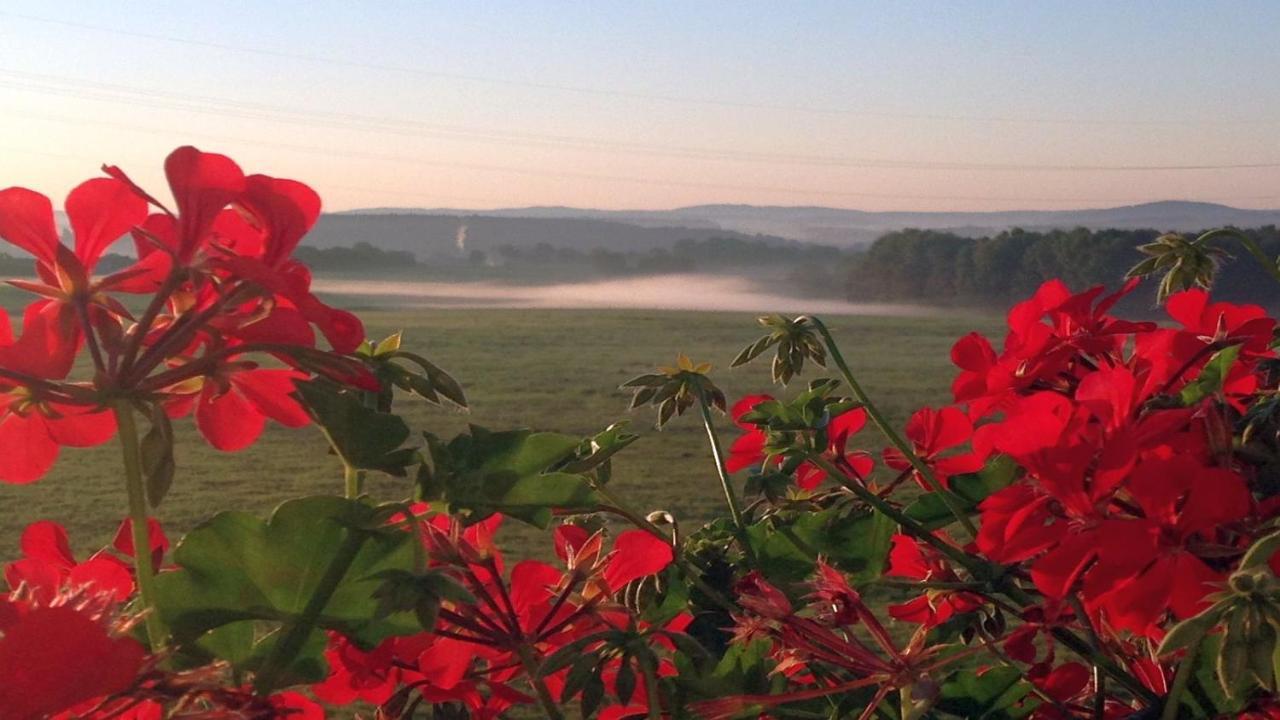 Waldhotel Dierdorf Eksteriør billede