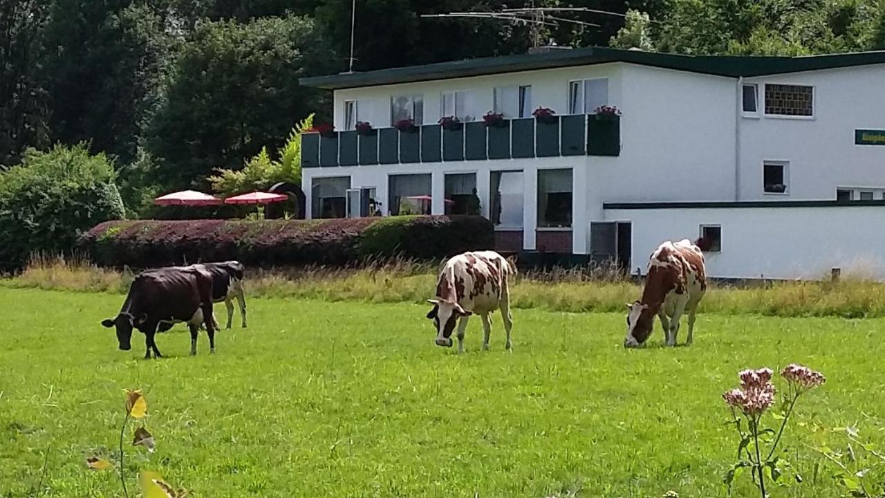 Waldhotel Dierdorf Eksteriør billede